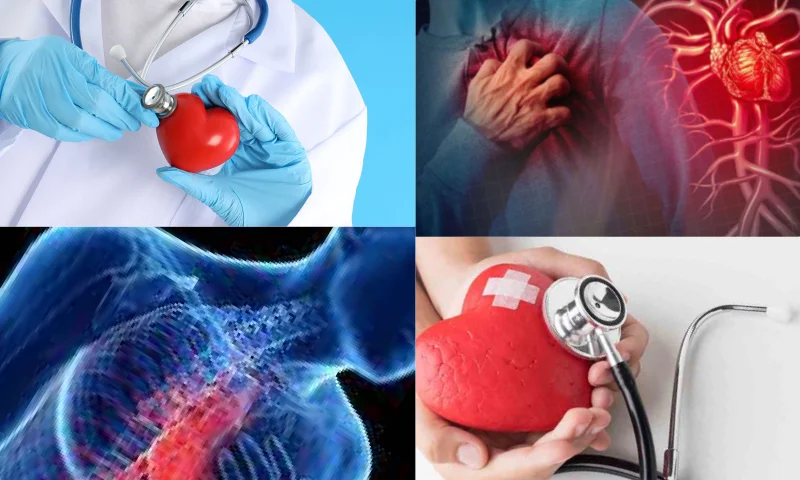 Kalp Sağlığının Önemi ve Risk Faktörleri