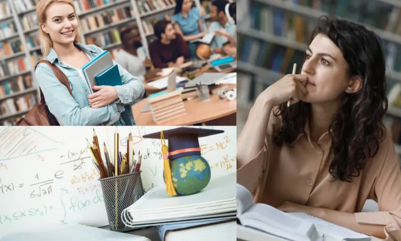Tez Hazırlama Fiyatları Neye Göre Belirlenir?