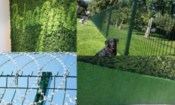 Fence Lawn ile Bahçede Mahremiyet Sağlanabilir Mi?