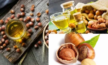 Fındık Yağının Besin Değeri ve İçeriği