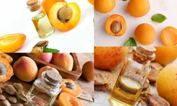 Apricot Oil (Kayısı Yağı) Ne işe Yarar?