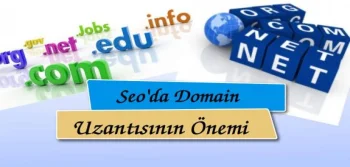 Seo'da Domain Uzantısının Amacı