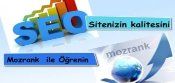 Sitenizin Kalitesini Mozrank ile Öğrenin