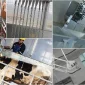 Büyükbaş Hayvan Kesim Aşamaları