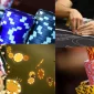 Chip Satışı Konusunda Bilinmesi Gerekenler