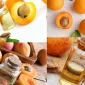 Apricot Oil (Kayısı Yağı) Ne işe Yarar?