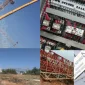 Kule Vinç Kurulumu ve Kullanımı